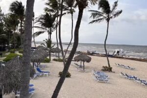 1000 Rutas Viajes y Turismo