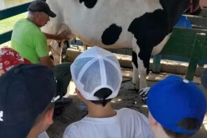 7 Colores Turismo Educativo