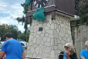 Agencia de turismo gustavo pfleger