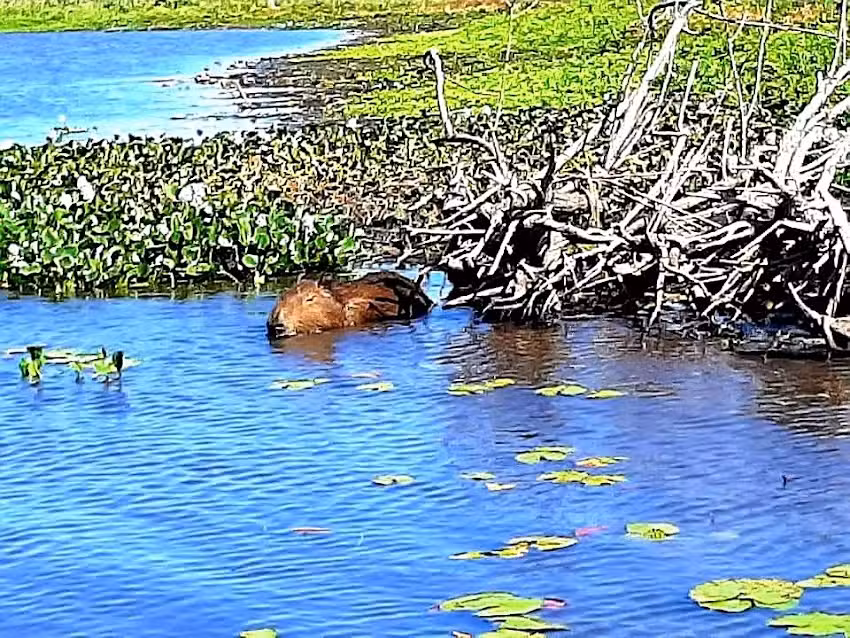 Agencia de Turismo Koe Itu Evt