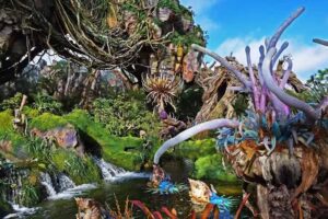 Agencia de Turismo Locus