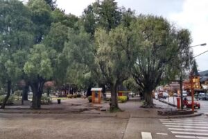 Agencia de Turismo Nelquihue Viajes