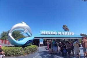 Agencia de viajes – Venta de paquetes de turismo – Viajes mar