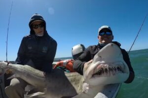 Albufera pesca deportiva embarcado