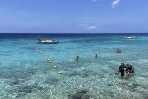 Almundo Bahía Blanca