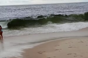 Almundo Neuquen Centro