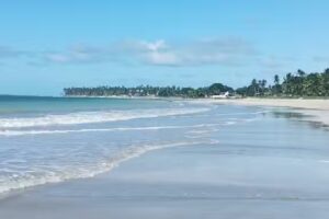 Almundo Villa Allende