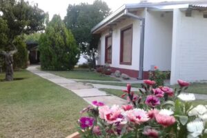 Alojamiento Turístico «El Olivo»