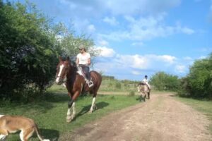 Alojamientos Pequeño Arroyo