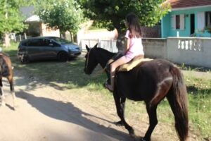 Alquiler de caballos EL ESTRIBO