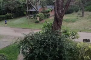 Amanecer en el Este II