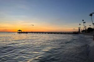 Analia Rodriguez Viajes