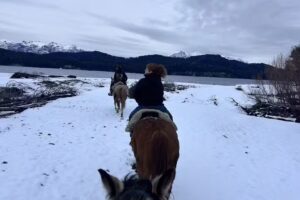 Appia Andina | Agencia de Turismo Aventura, Traslados y Experiencias Únicas en la Patagonia