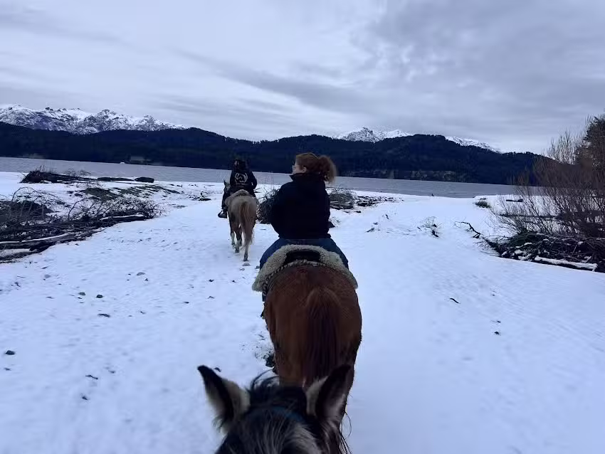 Appia Andina | Agencia de Turismo Aventura, Traslados y Experiencias Únicas en la Patagonia