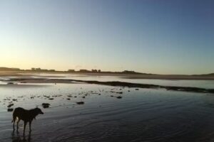 AQUAMARINAS Departamentos