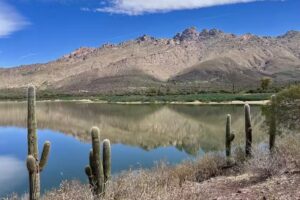 Argentina Excepción – Voyages sur mesure en Argentine
