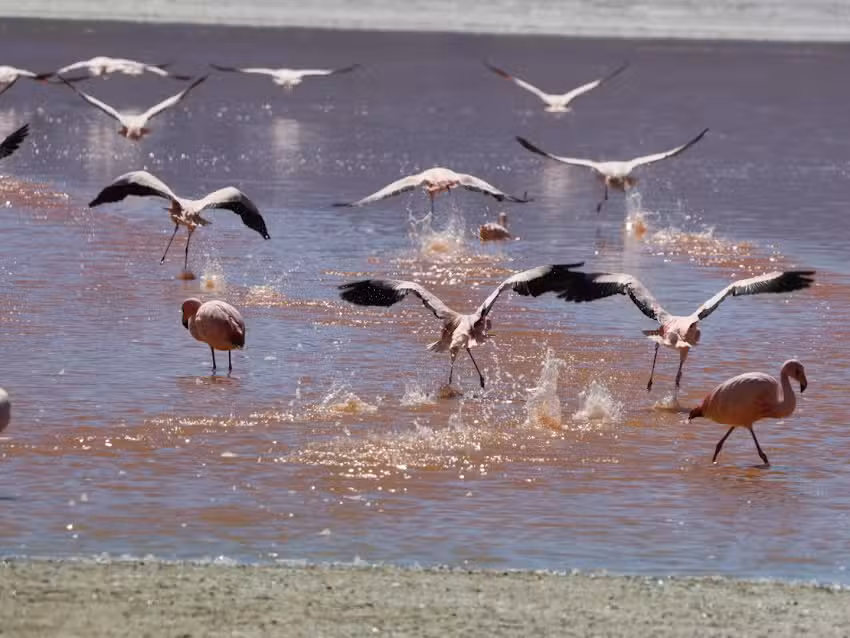 Argentina Overland 4×4. Travesias y Cursos 4×4