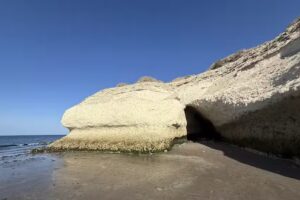 Arrieros Patagonicos