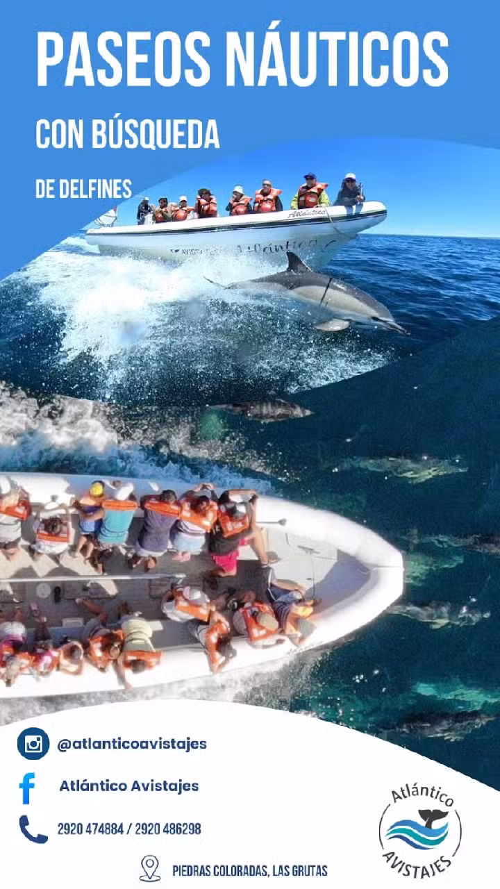 Atlántico Avistajes