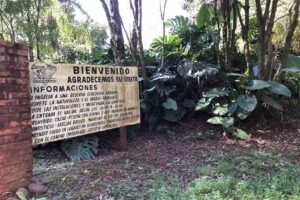 Aventura Saltos y Selva