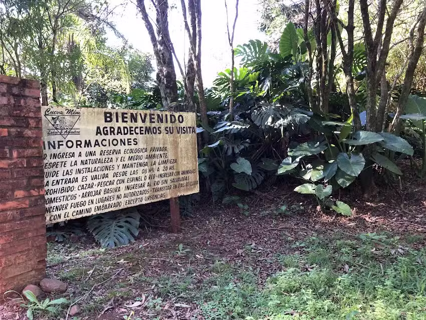 Aventura Saltos y Selva