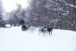 Aventuras No Fim Do Mundo