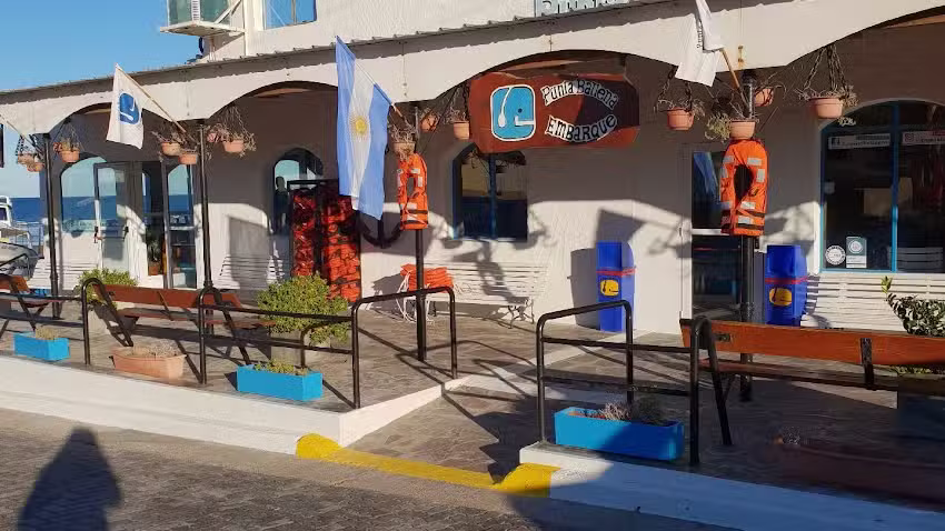 Avistaje De Ballenas – Punta Ballena