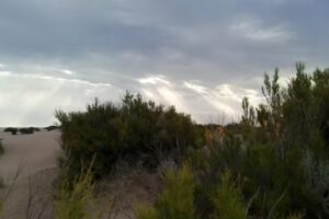 Balneario Marisol Alquileres