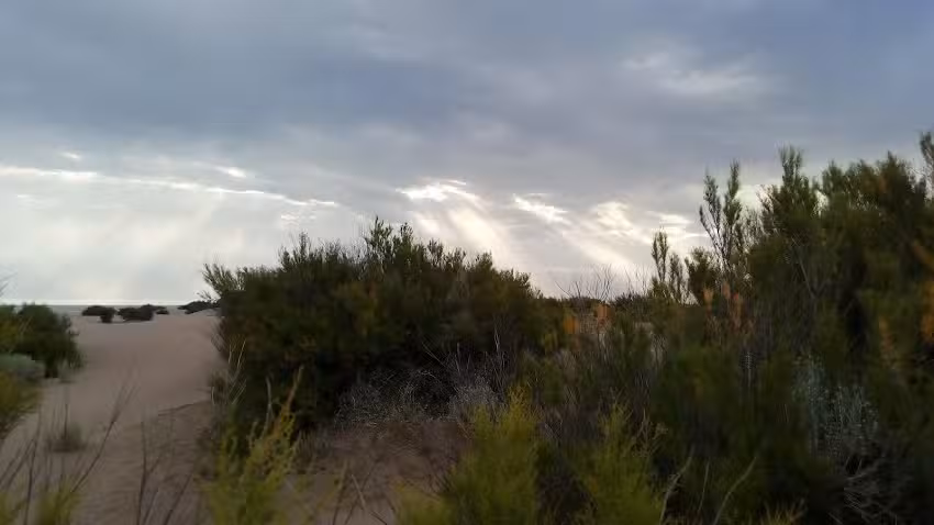 Balneario Marisol Alquileres