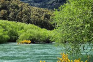 Bariloche travel Trip