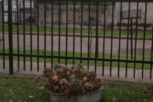 Barrio Malvinas Argentinas