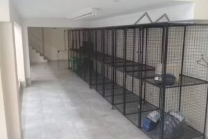 Belive Viajes y Encomiendas Once La Veloz Del Norte – Buspack Express