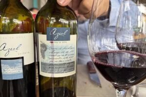 Belviajes – Agencia de viajes y turismo