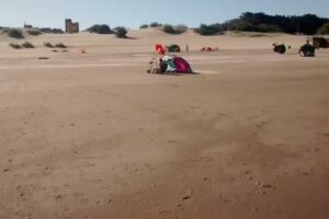 Bosque En El Atlántico