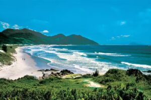 bressia viajes & turismo