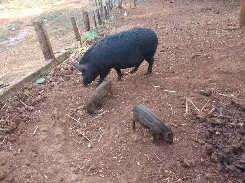 Cabalgata Ecológica Sapucai