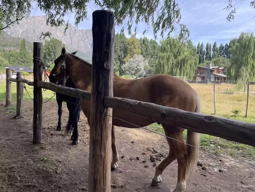 Cabalgata Los Amigos
