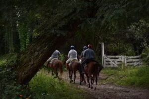 Cabalgata Salta Por la Senda de mi Tata