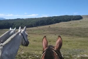 Cabalgatas «7 leguas»