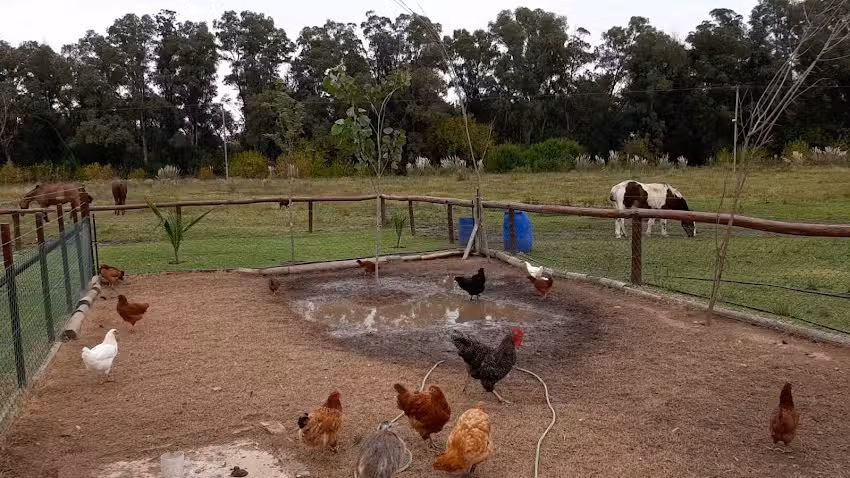 Cabalgatas Buena Onda