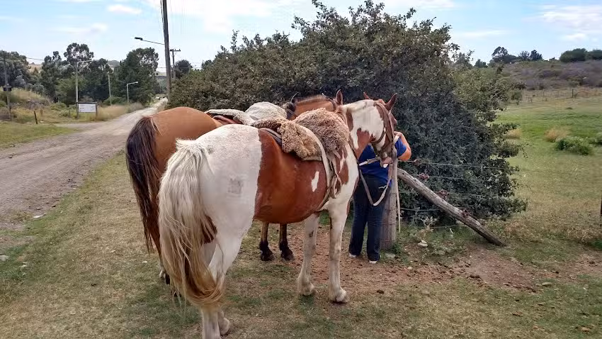 Cabalgatas de Reconocimiento Autoctono