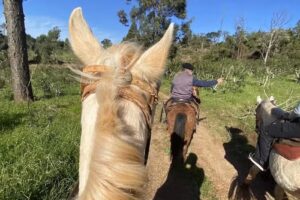 Cabalgatas del Sarilen
