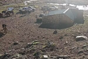 Cabalgatas Don Rodolfo