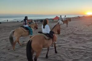 Cabalgatas El Establo