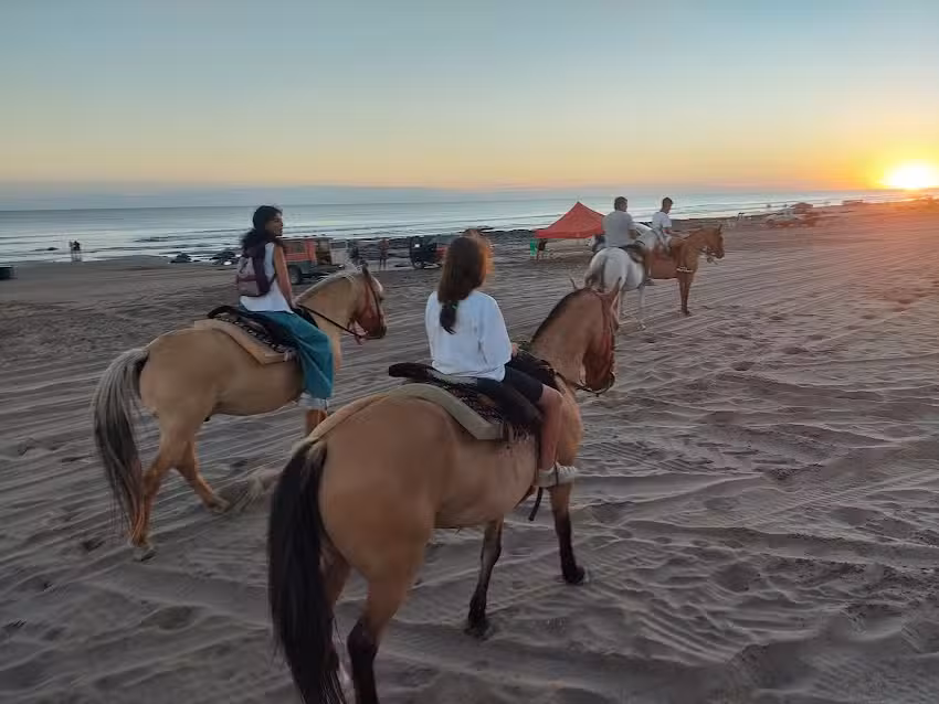 Cabalgatas El Establo