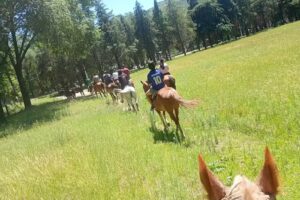 Cabalgatas Guiadas omar yedro