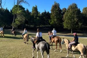 Cabalgatas «Jonás «🐎