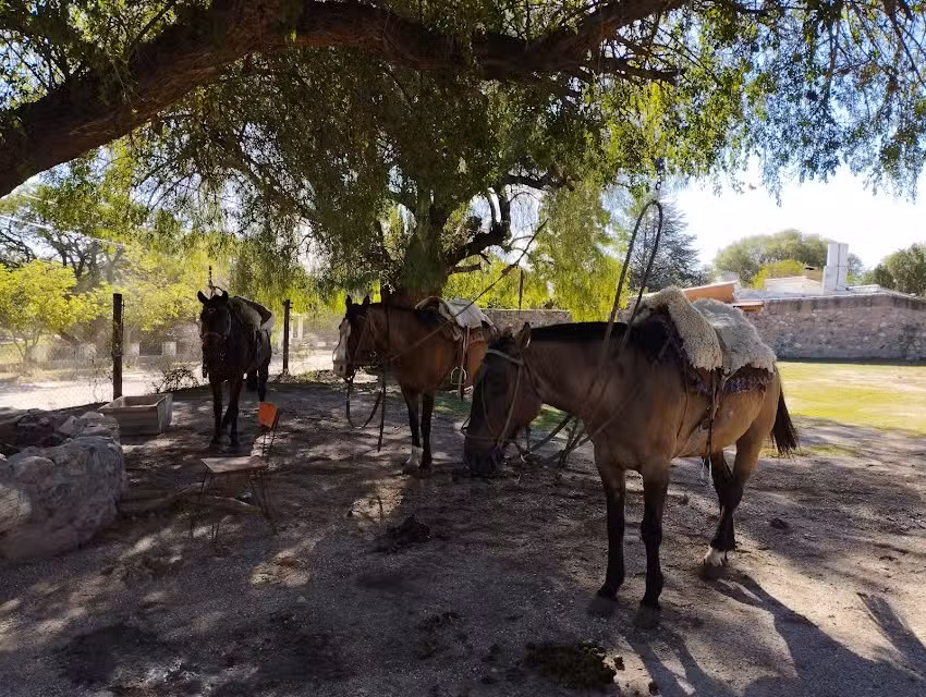 Cabalgatas La Pampa Redonda del Uritorco