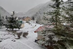 Cabalgatas PUESTO SEGURO