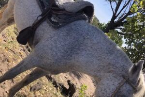 CABALGATAS SAN RAFAEL